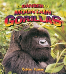 Image for Endangered Mountain Gorillas