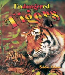 Image for Endangered Tigers