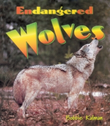 Image for Endangered Wolves