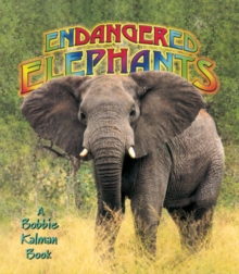 Image for Endangered Elephants