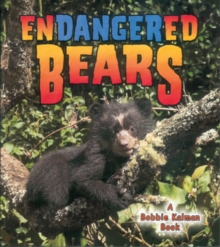 Image for Endangered Bears