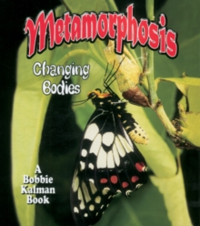 Image for Metamorphosis : Changing Bodies