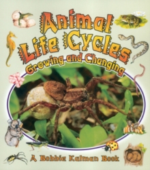 Animal Life Cycles