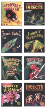Image for World of Insects Series