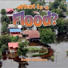 Image for What is a flood?