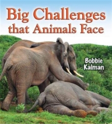 Image for Big challenges that animals face