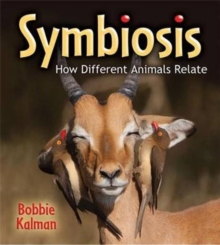 Image for Symbiosis : how different animals relate