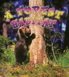 Image for A Forest Habitat