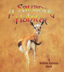 Image for A Savanna Habitat