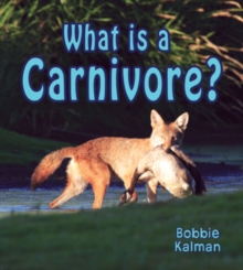 Image for What is a Carnivore