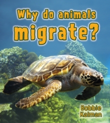 Image for What Do Animals Migrate