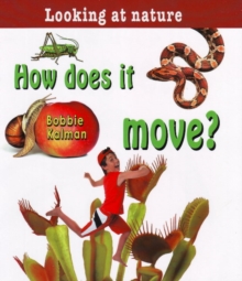 Image for How Does it Move?