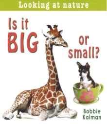 Is It Big or Small?
