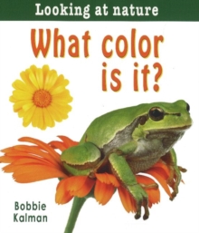 Image for What Color Is it