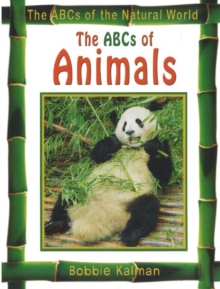 Image for The ABCs of Animals