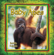 Image for Baby Apes
