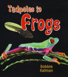 Image for Tadpoles to Frogs