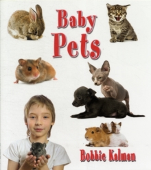 Image for Baby Pets