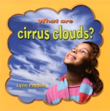 Image for What are cirrus clouds?