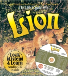 Image for The Life Cycle of a Lion