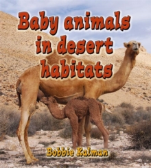 Image for Baby Animals in Desert Habitats