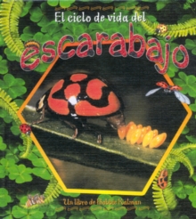 Image for El Ciclo de Vida del Escarabajo