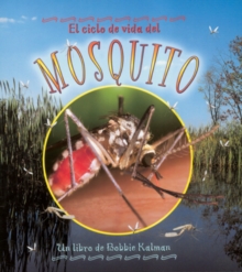 Image for El Ciclo de Vida del Mosquito