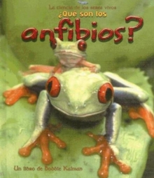 Image for Que son los Anfibios?