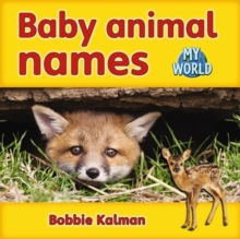 Image for Baby animal names : Animals in My World
