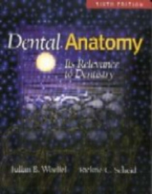 Image for Dental anatomy  : its relevance to dentistry