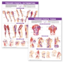 Image for Trigger Point Chart Set: Torso & Extremities Paper