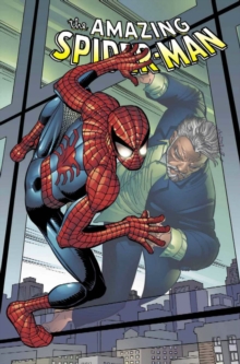 Image for The Amazing Spider-Man