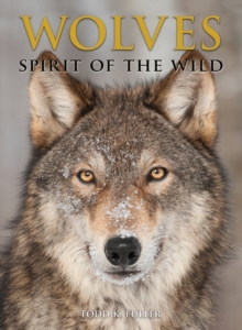Image for Wolves : Spirit of the Wild