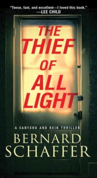 Image for The thief of all light