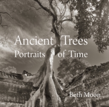 Ancient Trees: Portraits of Time