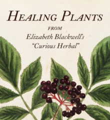 Image for Healing plants from Elizabeth Blackwell's "Curious herbal"