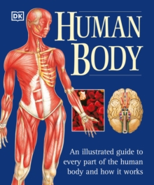 Image for The Human Body : An Illustrated Guide to Every Part of the Human Body and How It Works