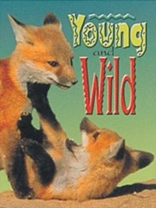 Image for Young and Wild