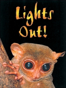 Image for Lights Out!