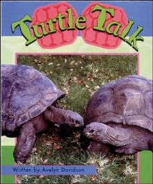 Image for Turtle Talk (Storyteller Lap Book)