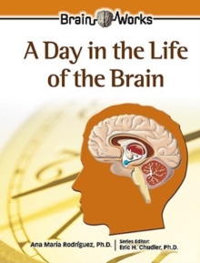 Day in the Life of the Brain