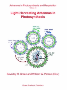 Image for Light-Harvesting Antennas in Photosynthesis