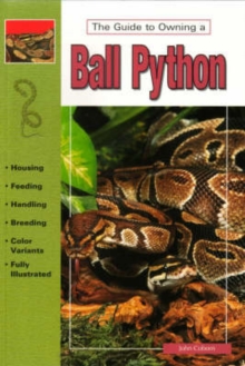 Image for Ball Pythons
