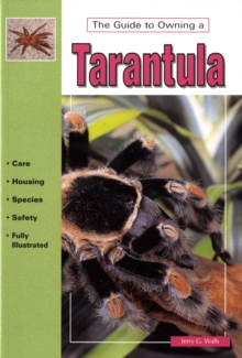 Image for The Guide to Owning a Tarantula