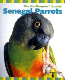 Image for Senegal parrots