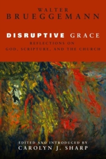 Image for Disruptive Grace : Reflections on God, Scripture, and the Church
