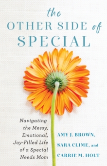 Image for The other side of special  : navigating the messy, emotional, joy-filled life of a special needs mom