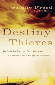 Destiny Thieves