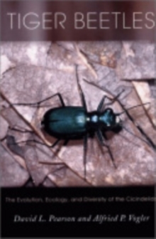Image for Tiger Beetles