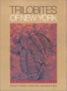 Trilobites of New York